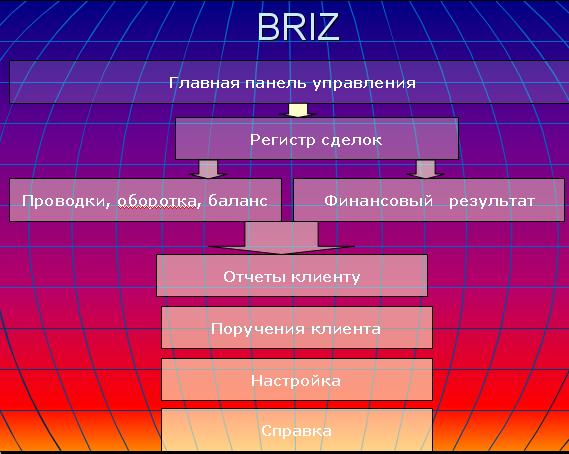 Блок схема программы BRIZ